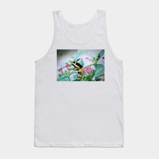 Giant Swallowtail On Pink Flower Tank Top